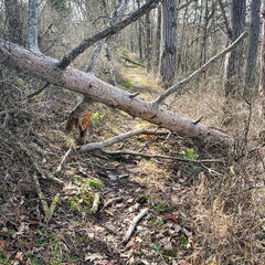 23-03-17 11-04-09 4884